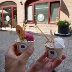 Waldfrucht & Erdnuss / Zitrone & Walnuss-Feige