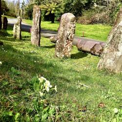 Ancient stones and wild primroses