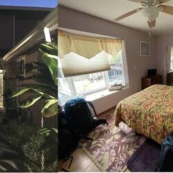 Euses Dihei uf Maui 💕 jetzt scho Ohana!