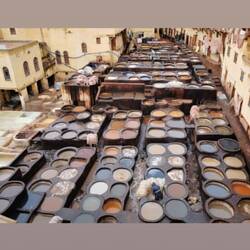 Chouara Tannery