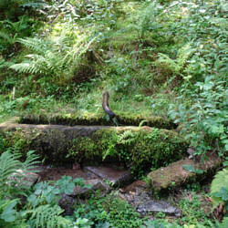 Hier gibt es Frischwasser