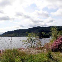Loch Lommond