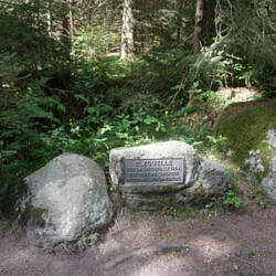 Unterwegs passiere ich die Elzquelle