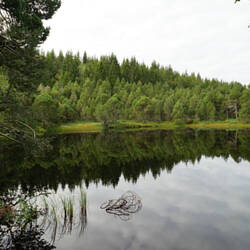 Ruhige Stimmung am Blindensee