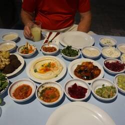 Salatim - beets, humus, cauliflower, pita, pickled vegetables, guacamole and lots more