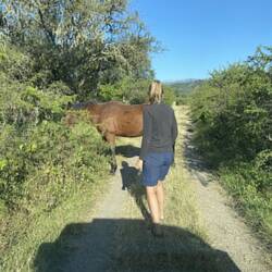 Händ immer chli anderi Wäggfährte