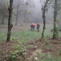 עלוקות עלוקות