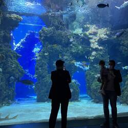 Glenda at the Aquarium
