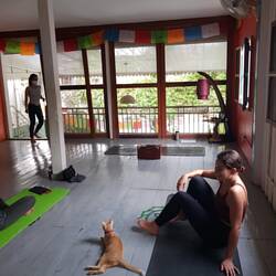 Yoga with friends