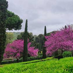 Jardins de Santa Clotilde