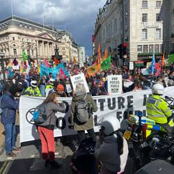 Und hier sind die Demonstranten...