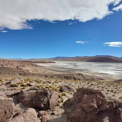 Lagune mit "giftigem Salz"