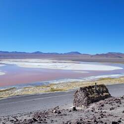 Laguna Colorada - Rote Lagune