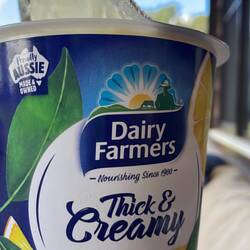 Leah behauptet der schmeckt nach Zitronen Sorbet. Finde der Schmeckt wie Zitronen Joghurt