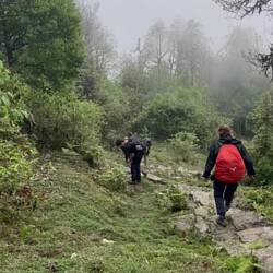 עלוקות מעיקות