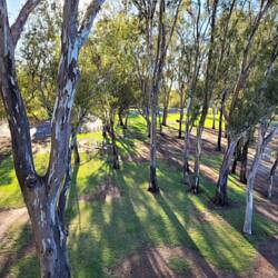 Part of a large park on the riverbank at Wentworth.