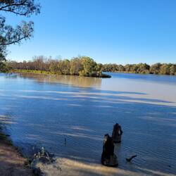 The junction of the Darling and Murray. You can the the marked difference in the colour of the water.