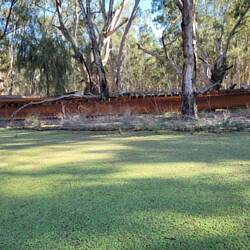 What's left of the barge "Emerald". That's duckweed not grass in the foreground.