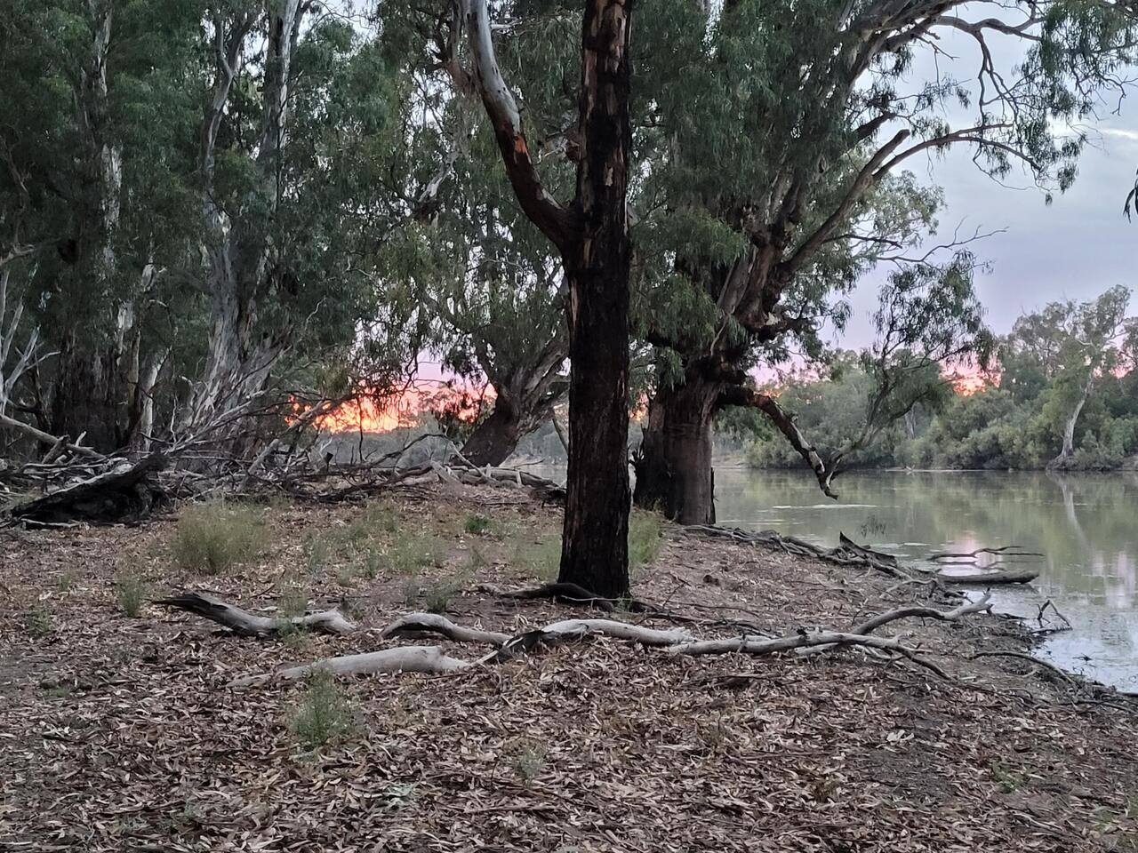 Sunrise on the river. I went back to bed after taking the photo...