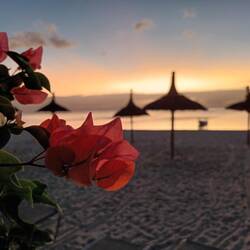 SUNDOWNER- TRÄUMCHEN