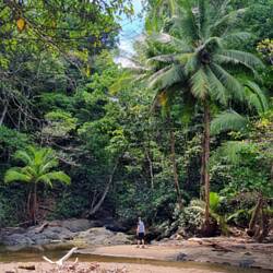 Corcovado-Nationalpark: Willkommen im Dschungel 🏞