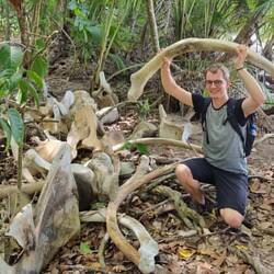 Welches kleine Tier hat hier wohl seine Knochen hinterlassen? 🤔