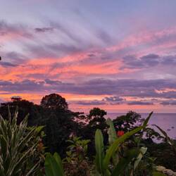 Terasse mit Pazifikblick 🌅