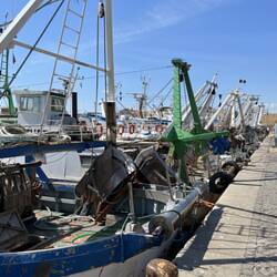 Fishing Boats Along the Roman Quay