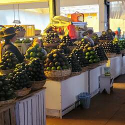 Der Avocadohimmel 🥑