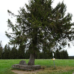 Pausenplatz auf dem Weg nach Titisee