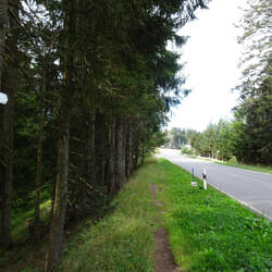 Ein kurzes Stück entlang der Straße