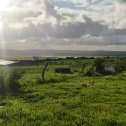 Unsere grüne Oase vor der (Camper-) Haustür