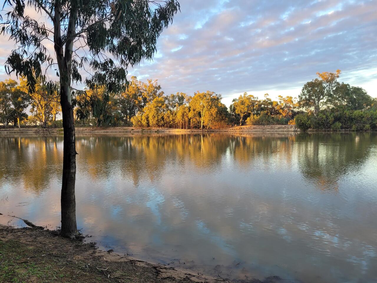 First light on the river. Completely calm.