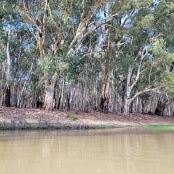 Part of Murray Sunset NP.
