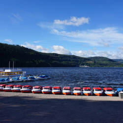 Wellengang auf dem Titisee am Morgen