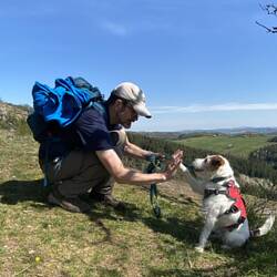 Highfive 🖐🏼🐾