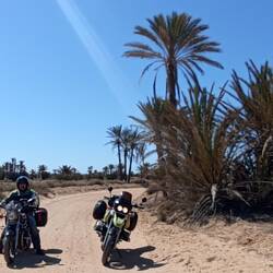 Auf dem Weg zum Traumstrand auf der Insel Kerkenah