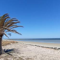 Traumstrand auf der Insel Kerkenah