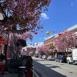 Chinatown