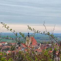 Blick auf Löbejün