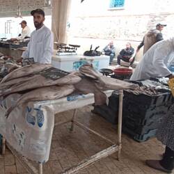 Sfax, Fischmarkt