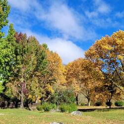 Hie merktme das herbst isch🍂