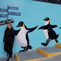 D Geraldine und ihri Pinguine. Die ganzi Stadt überhüft uns mit Bilder und Souvenirs.