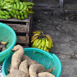 Süßkartoffel / sweet potato / słodki ziemniak