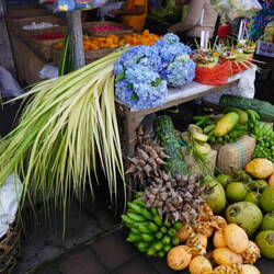 Palmenblätter für Canag und Kokosnüsse/ Palm leaves for canag and coconuts/ Liście palmowe na kanag