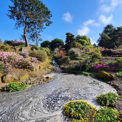 Royal Botanic Garden Edinburgh