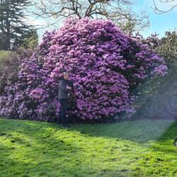 Royal Botanic Garden Edinburgh