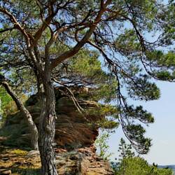 A typical scenery of our today's hike!