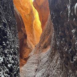 Looks cool when sun is over head