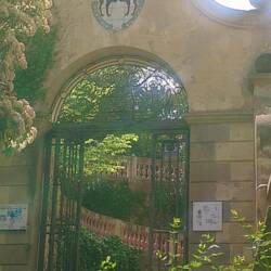 In Gedanken an meine beiden 🐈🐈